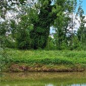 Tierische Begegnung am Mangfalldamm