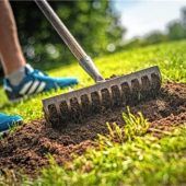 Weniger Moos, mehr Grün