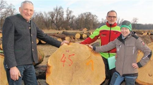 Alois Kalteis (links), Vorsitzender des WBV Rosenheim, Irene Neuhof vom WBV Wasserburg-Haag, und Michael Heffner, Geschäftsführer des WBV Rosenheim, mit dem teuersten Eichenstamm.Foto re