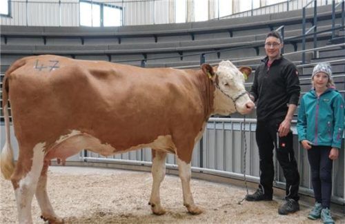 Alois Rehrl und seine Tochter Sabine aus Seeleiten bei Weildorf boten hervorragende Jungkühe zum Verkauf an.Foto re