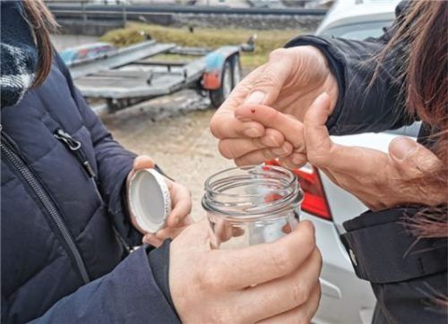 Blutprobe für die Suche: Die zu suchende Teilnehmerin gibt ein paar Tropfen Blut in ein Glas. Mit dieser Geruchsprobe wird Rüde Lovis gleich auf Suche gehen.