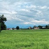 Bund Naturschutz gegen Baugebiet