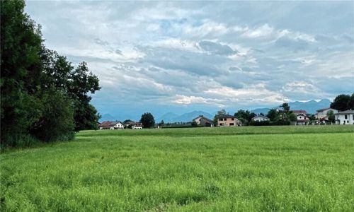 Das geschützte Biotop „Teufelsgraben“ liegt laut Bund Naturschutz im Gebiet der geplanten Bebauung.Foto  Lagler