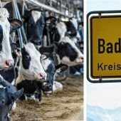 „Bitte keine Vorverurteilungen“