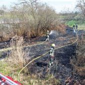 Vegetationsbrand in der Hirschauer Bucht