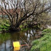 Schlauchgigant meistert Höhenprobe
