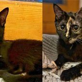 Otto und Bibi wollen Pflegestelle bald verlassen