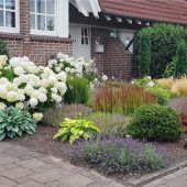 Ganzjährig attraktiver Vorgarten