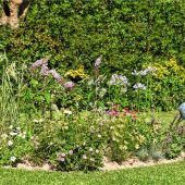 Der eigene Garten: Mehr Lust als Last