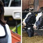 Kultur des Hinschauens fördern