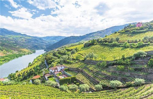 Natur & Historie: Auf dem Jakobsweg finden sich immer wieder steinerne Wegweise (l.). Traumhaft: das Douro-Tal (gr. F.) und das Städtchen Barcelos (r.). Fotos Panthermedia/Arousa/Joyt/Amnat/Danita Delimont/AndreaDelbo/Simon Dannhauer