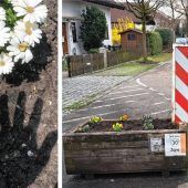 „Erbärmlich und respektlos“