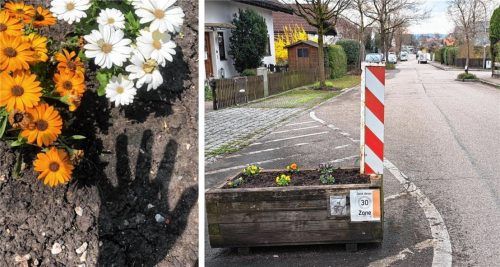 Ob auf dem Friedhof oder am Straßenrand: In Bad Aibling wurden zuletzt mehrfach Diebstähle von Bepflanzungen gemeldet. Foto Bettinger/Hadersbeck