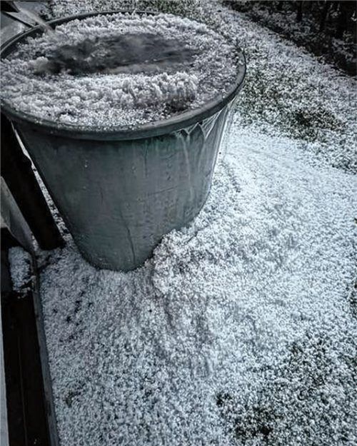 Rund um eine Regentonne macht sich das Ausmaß des heftigen Hagelschlags in Bad Aibling bemerkbar. Foto  Kotter