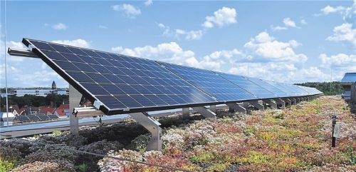 Solarmodule können direkt auf dem bepflanzten Dach installiert werden. Foto Bundesverband GebäudeGrün / Bhw