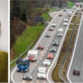 Hoffnung für A8-Ausbau-Gegner