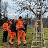 Fitgemacht für die Obstbaumpflege