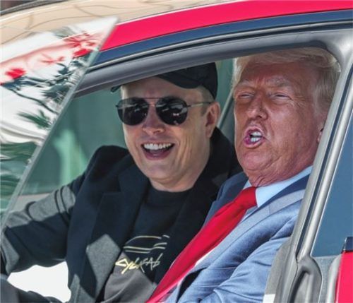 US-Präsident Donald Trump (rechts) hat Tesla-Chef Elon Musk jüngst ein Elektroauto abgekauft. Medienwirksam inszeniert auf dem Südrasen des Weißen Hauses. Foto dpa
