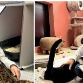 Wie Leo im Tierheim das Vorlesen lernt