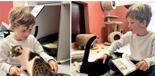 Wenn Leo vorliest, gehen die Katzen manchmal sogar auf Tuchfühlung und klettern auf sein Buch. Foto Huber