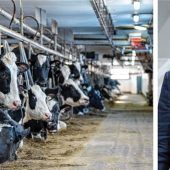 Stadt hält sich bedeckt
