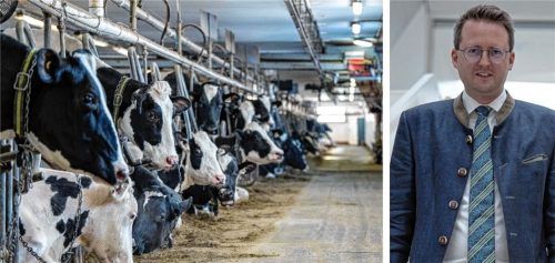 Wie konnte es zu dem schrecklichen Vorfall in Bad Aibling kommen? Auf einem Hof wurden mehrere tote Rinder entdeckt. Bürgermeister Stephan Schlier äußert sich dazu erneut.Foto Christinne Muschi (picture alliance/dpa/Canadian Press via ZUMA Press) / re