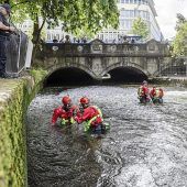 Die Suche nach dem Grund