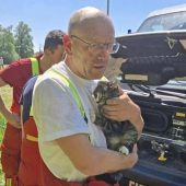 Kater Veros abenteuerliche Reise