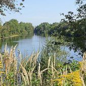 Moosgrund: Stadtrat lehnt Landschaftsschutz vorerst ab