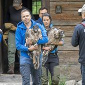 Zwei neue Geier für Bayern