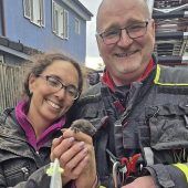 Feuerwehr rettet Eichhörnchen