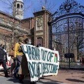 Die Ängste der Harvard-Studenten