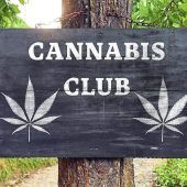 Regierung verhindert Cannabis-Club