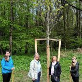 Eine Roteiche am Tag des Baumes