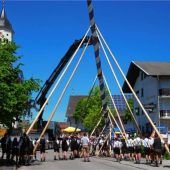 Blau-weißes Maibaumstangerl ragt in Großhöhenrain 33 Meter in die Höhe