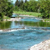 Mangfall leidet unter Wassermangel