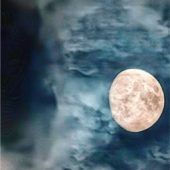 Der blaue Elefant und der Mond