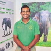 Sri Lankas Elefanten in Not