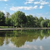 Gefährden Badegäste Fische am Simssee?