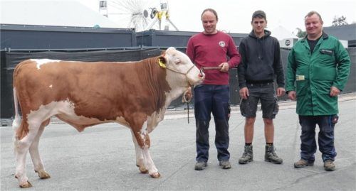 An die Besamungsstation CRV Deutschland ging der Stier „Mumin“ von Christian Niederbuchner. Auf dem Bild sind Josef (links) und Christian Niederbuchner (rechts) mit ihrem Azubi Johannes Grabner zu sehen.Foto Zuchtverband Traunstein