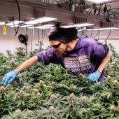 Anbau kann starten – theoretisch