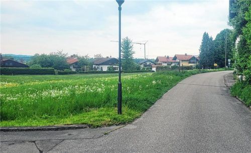 Der Bereich am Niedergartenweg (Teilbereich A) wird nun von der Gemeinde selbst vorangetrieben, hier sollen nach wie vor Arztpraxis, Apotheken, Tagespflege, betreutes Wohnen und ein Dorfladen entstehen. Foto stache