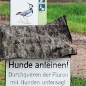 Appell an Spaziergänger und Hundebesitzer