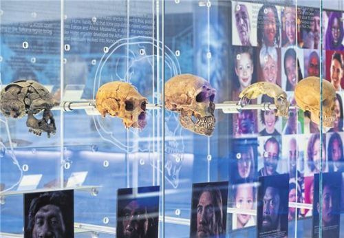 Die Cradle of Humankind – so heißt die Welterbestätte auf Englisch – birgt Spannendes.