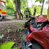 83-jährige Seniorin prallt gegen Baum