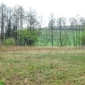 Fördermittel-Kürzung bedroht akut die Landschaftspflege