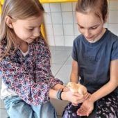 Unterricht mit flauschigem Praxisbezug