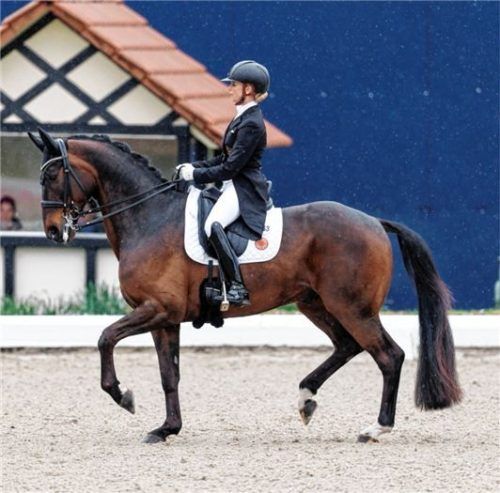 Geglücktes internationales Debüt: Jessica von Bredow-Werndl und Dancier-Sohn Diallo.Foto Stefan Lafrentz