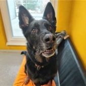 Gassigehen ist immer etwas Besonderes