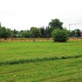 Sportliche Millionen-Investitionen